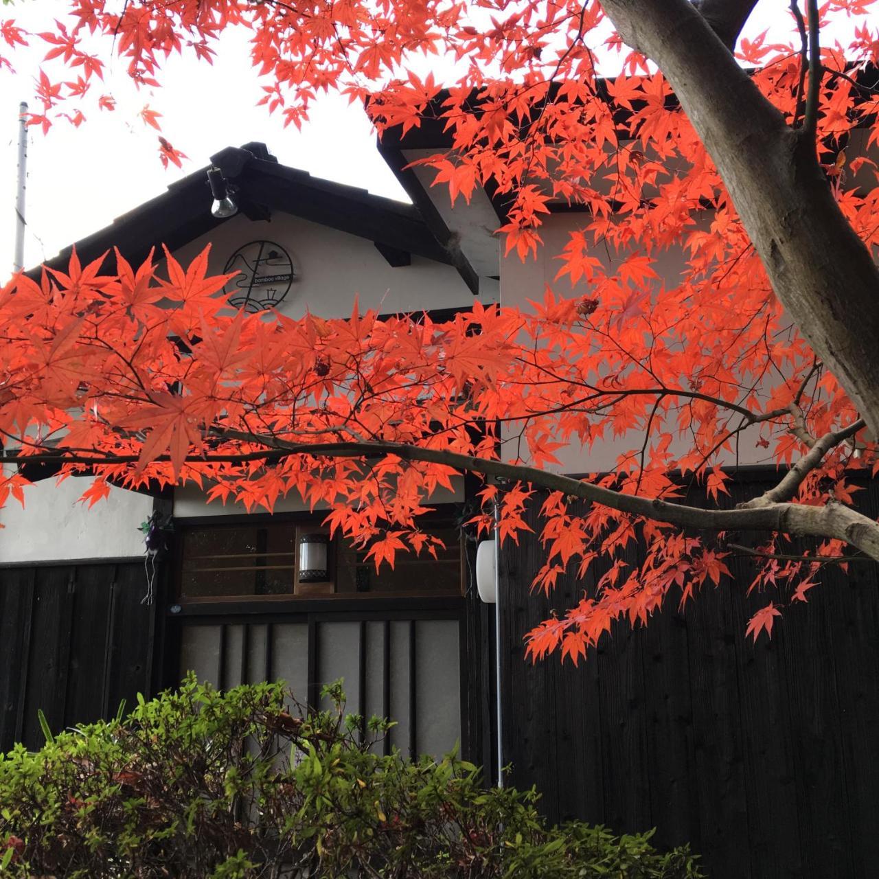 Bamboo Village Guest House 나오시마 외부 사진
